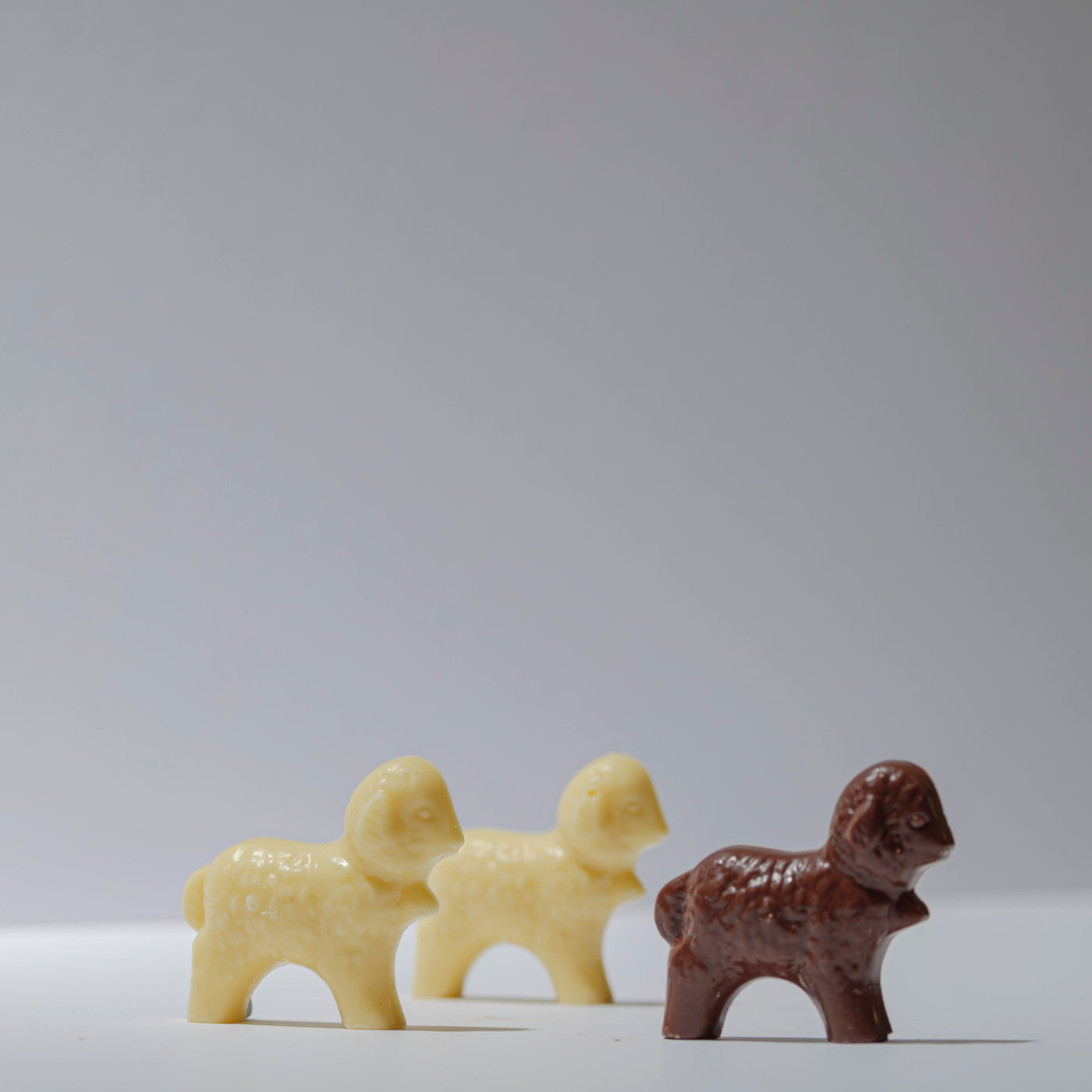 Solid Chocolate Easter Lambs